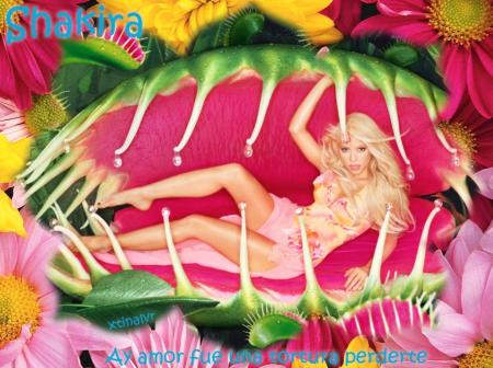SHAKIRA